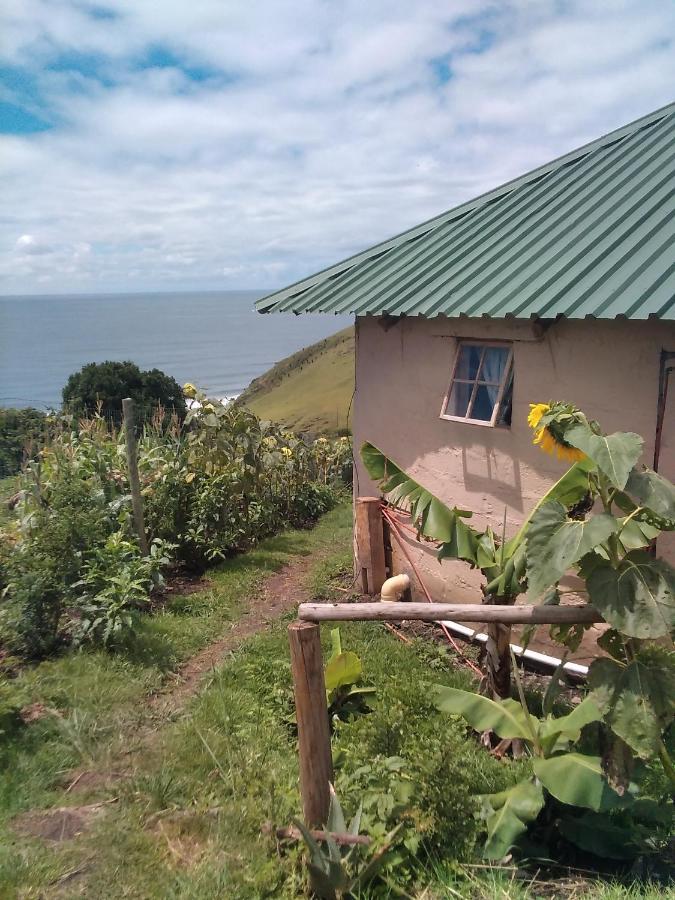 Wildview Self Catering Cottages Coffee Bay, Breakfast & Wi-Fi Inc Экстерьер фото